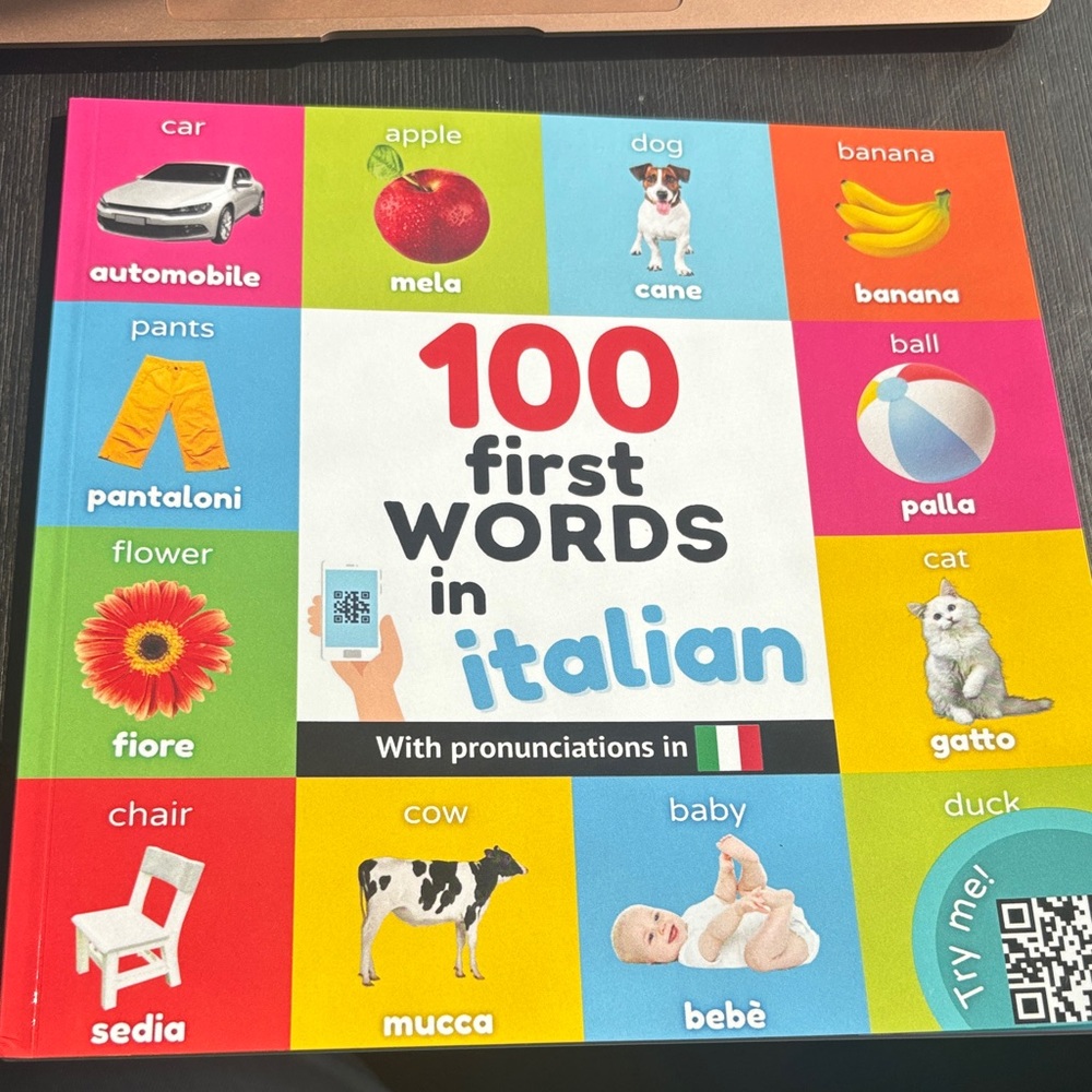 100 First Words in Italian Kids Book